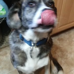 Meet your Posher, Jim